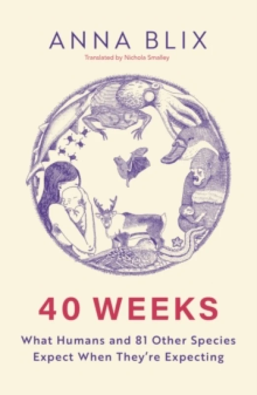Image of 40 Weeks : What Humans and 81 Other Species Expect When They're Expecting Paperback / softback