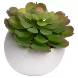 Image of Miniature Lola Succulent In Cement Pot
