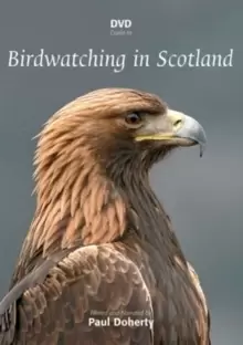Image of Birdwatching in Scotland