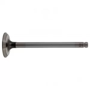 Image of Exhaust Valve 17393 by Febi Bilstein