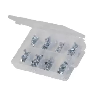 Image of Fixman Wing Nuts Pack 40pce 613208