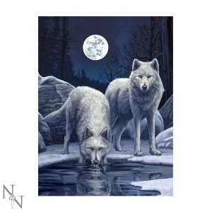 Image of Warriors of Winter 3D Picture