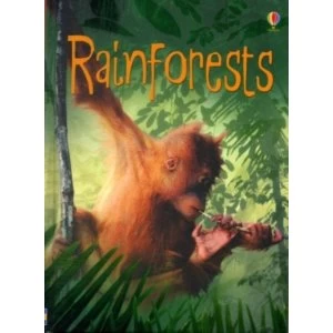 Image of Rainforests by Catriona Clarke (Hardback, 2008)