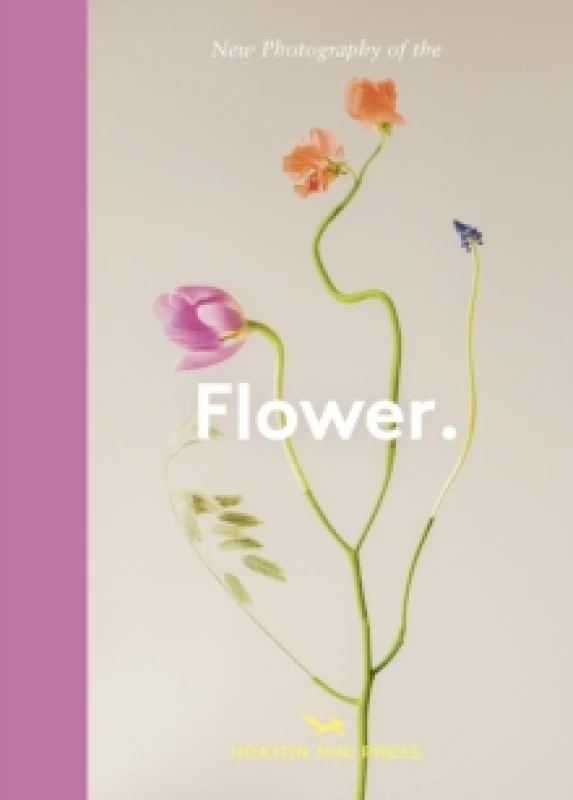 Image of Flower. : New Photography of the Hardback
