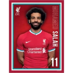 Image of Liverpool FC Headshot Salah
