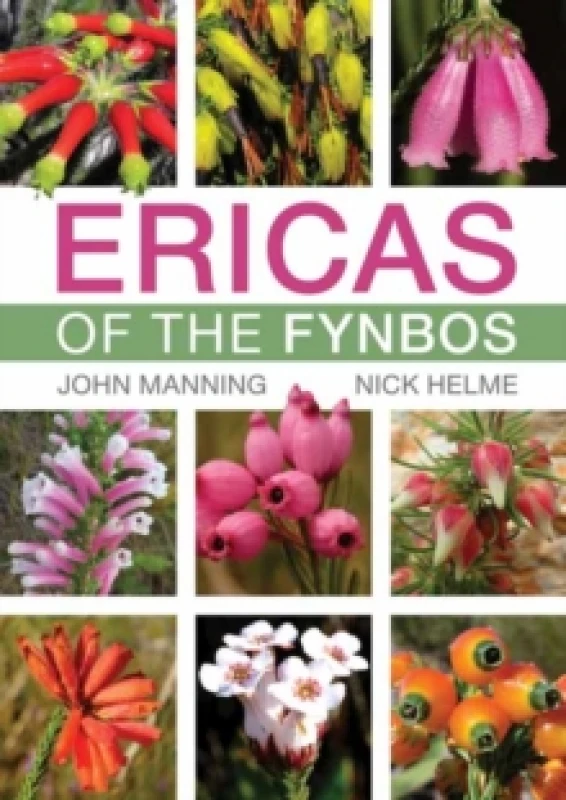 Image of Ericas of the Fynbos Paperback / softback