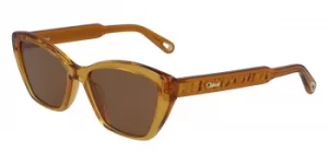 Image of Chloe Sunglasses CE 760S 204
