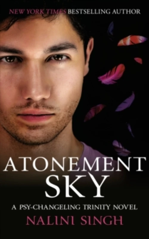 Image of Atonement Sky : Book 9 Hardback