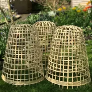 Image of Garden Skill Gardenskill Bamboo Bell Cloche And Garden Plant Protection Cover Medium - Pack Of 3