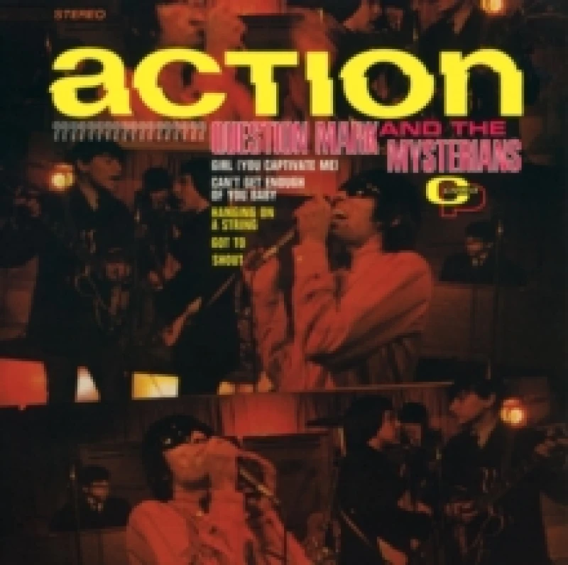Image of Action Vinyl
