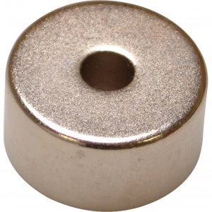 Image of E Magnet Neodymium Disc Magnet 19mm