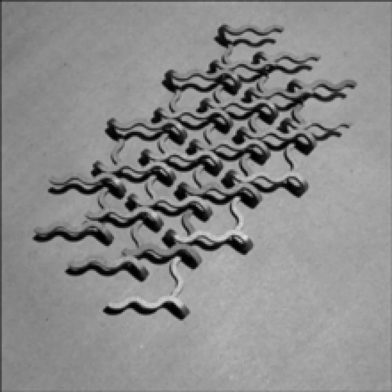 Image of Xe CD / Album