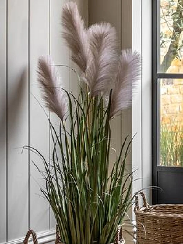 Image of Crossland Grove Potted Grass with Pampas Seed Heads (5pk) 1270mm, White 5056693592730