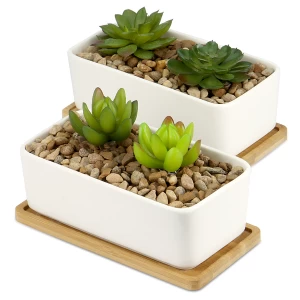 Image of Ceramic Planter & Bamboo Base M&W x2 Rectangular