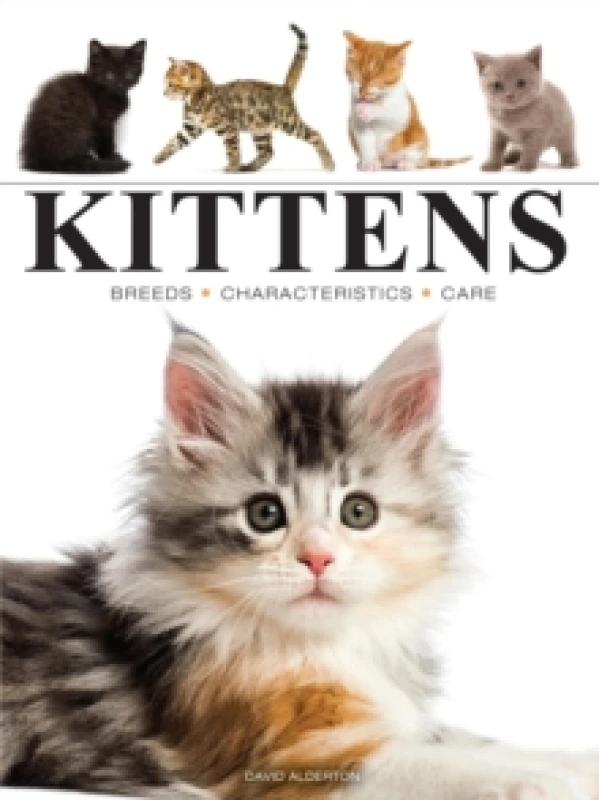 Image of Kittens Paperback / softback