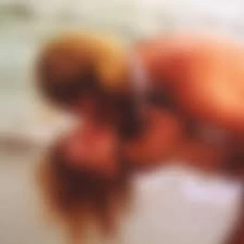 Image of Special Request - Bedroom Tapes Vinyl