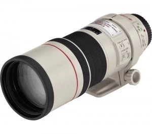 Image of Canon EF 300 mm f/4.0 L IS USM Telephoto Prime Lens