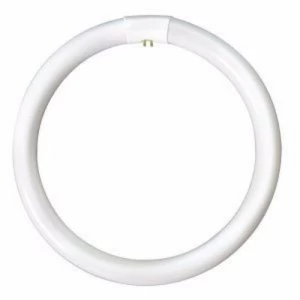 Image of Bell 22W CFL T9 G10q Circular Bulb - Cool White