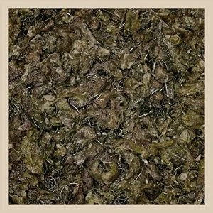 Image of Piss Vortex - Future Cancer Vinyl