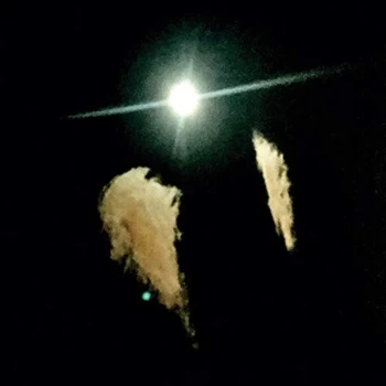 Image of Midwife - Forever Vinyl