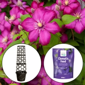 Image of YouGarden Patio Clematis Kit