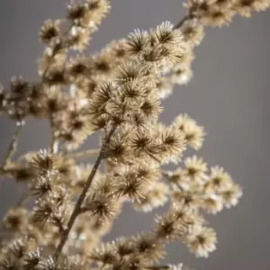 Image of Crossland Grove Cedar Pine Spray Gold (3Pk) H630Mm