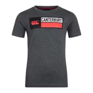 Image of Canterbury Cotton Logo T-Shirt Juniors - Grey