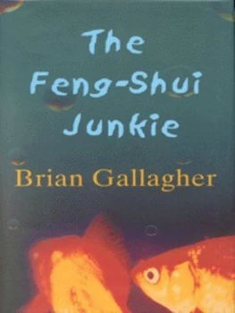 Image of The Feng-Shui Junkie by Brian Gallagher Hardback
