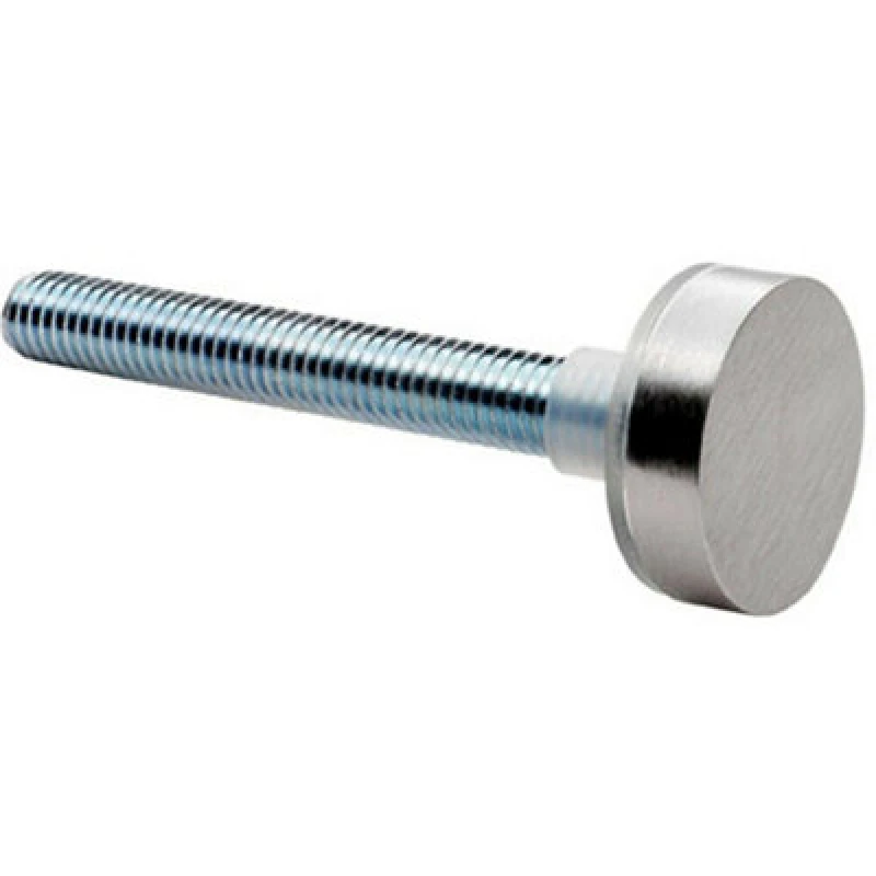 Image of Loops PAIR Bolt Cap Fixing Pack for 22mm Pull Handle Bright Stainless Steel Metallics unisex