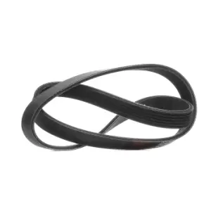 Image of RIDEX PLUS V-ribbed belt 305P0051P Serpentine belt,Auxiliary belt VW,FORD,SKODA,Polo Schragheck (6R1, 6C1),GOLF III (1H1),SHARAN (7M8, 7M9, 7M6)