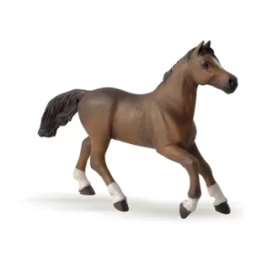 Image of PAPO Horse and Ponies Anglo-Arab Mare Toy Figure, Three Years or Above, Brown (51075)