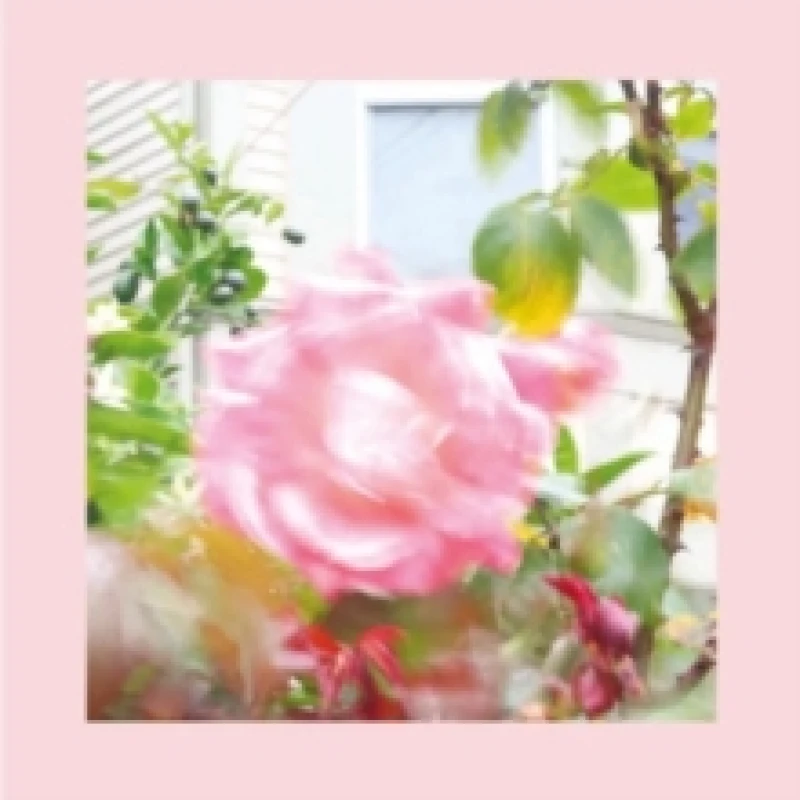 Image of Summer at Land's End CD / Album