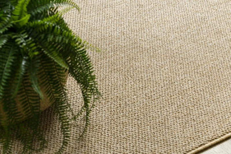 Image of RugsX Carpet Casablanca Loom Beige, Loop, Soft Indoor & Outdoor 60X100 Cm