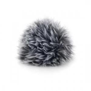 Image of Olympus WS-1 Wind Jammer