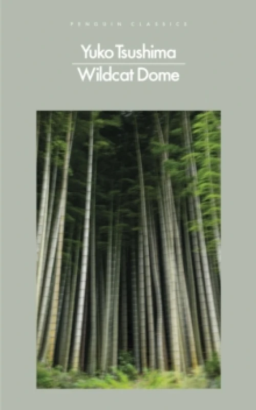 Image of Wildcat Dome Paperback / softback