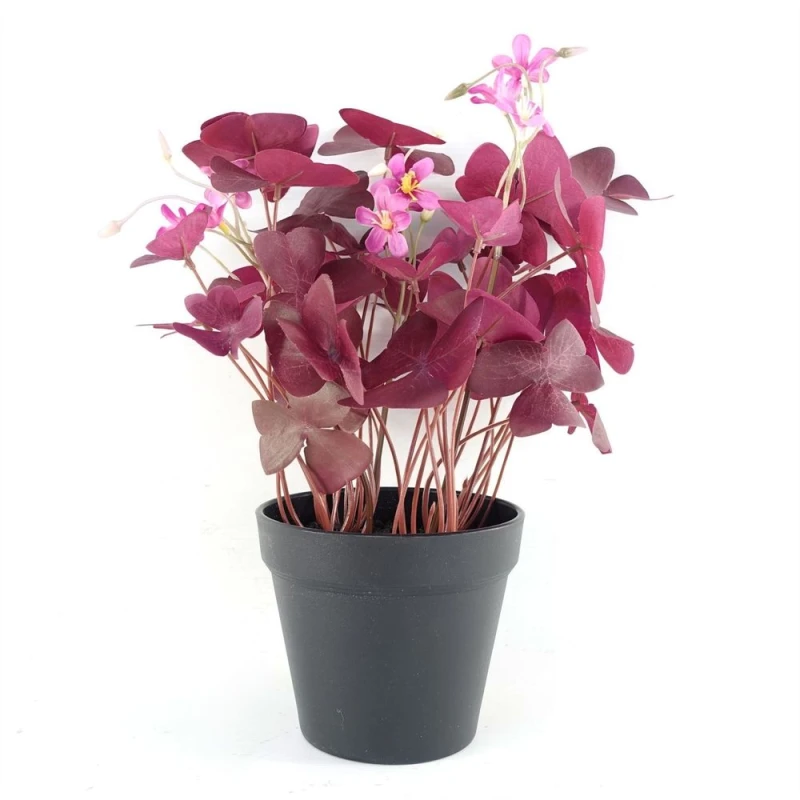Image of Leaf Artificial Plant Purple Shamrock Pink Flowers Potted Botanik Purple