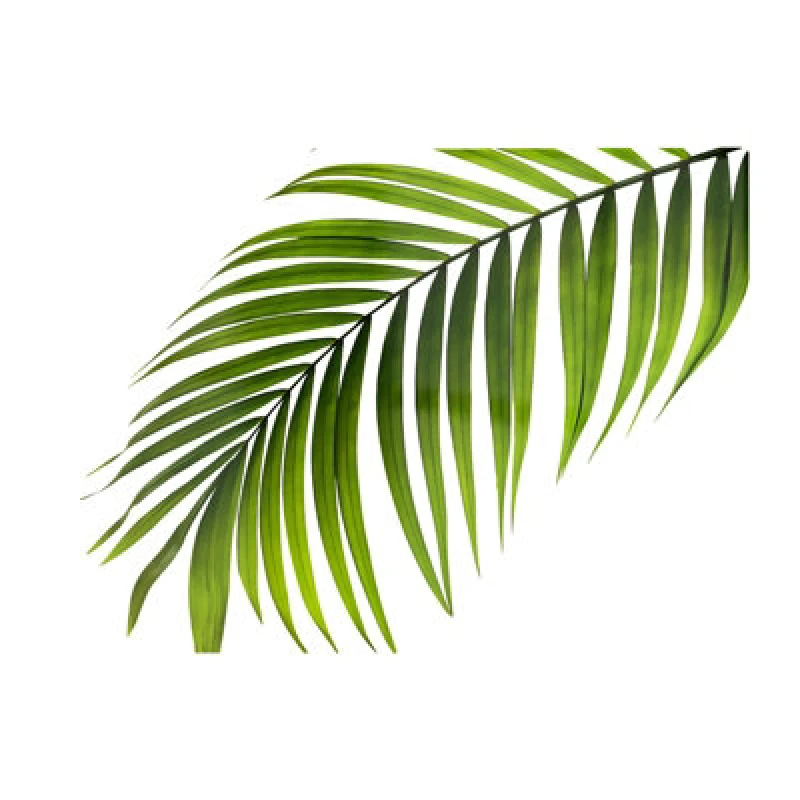 Image of Warren Reed Designer Single Palm Leaf Glass Chopping Board