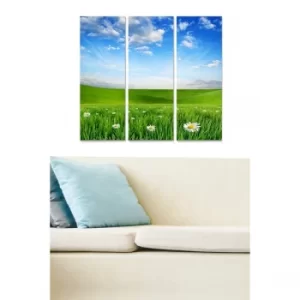 Image of MDF44845879 Multicolor Decorative MDF Painting (3 Pieces)