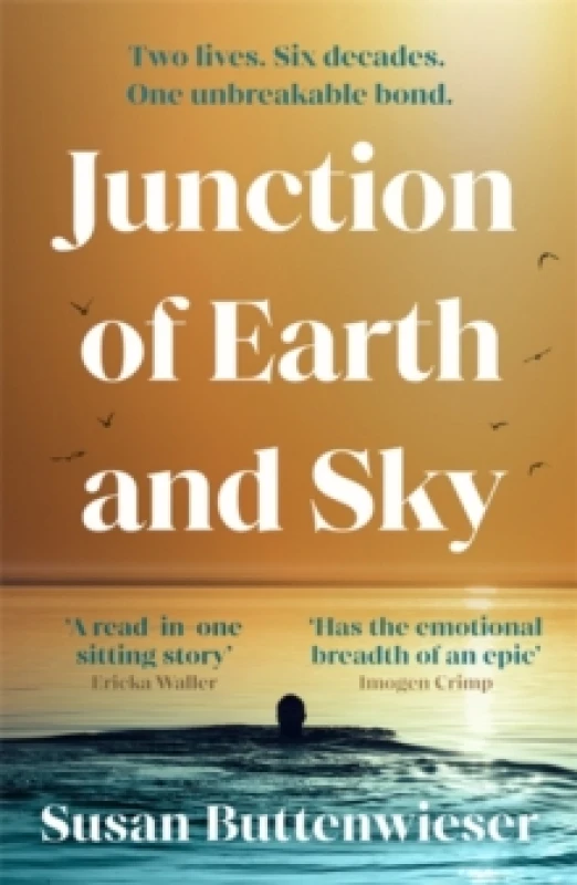 Image of Junction of Earth and Sky : A heart-breaking, lyrical novel about the enduring power of love Paperback / softback