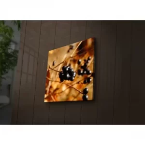 Image of 2828?ACT-32 Multicolor Decorative LED Lighted Canvas Painting