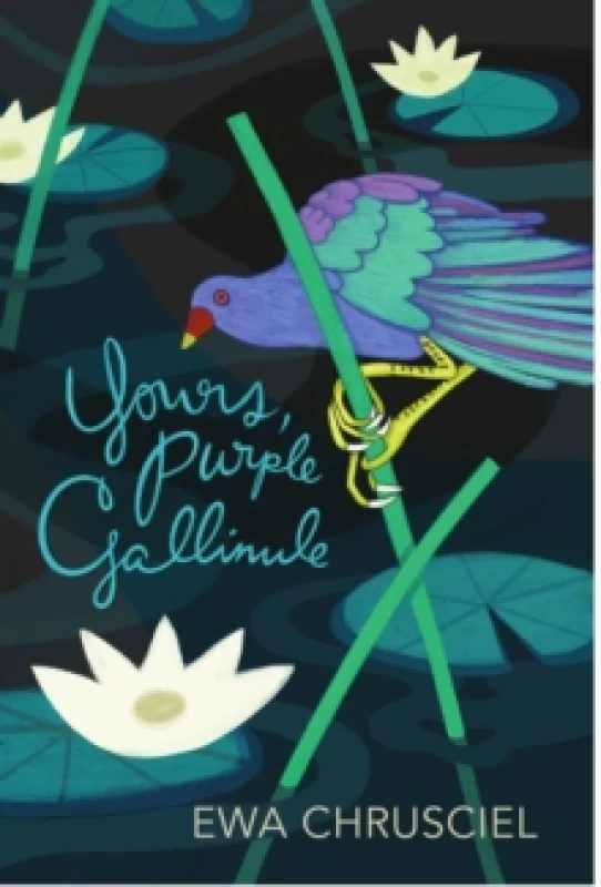 Image of Yours, Purple Gallinule Paperback / softback
