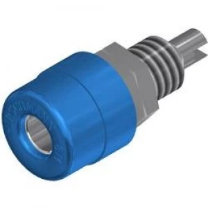 Image of Jack socket Socket vertical vertical Pin diameter 4mm Blue SK