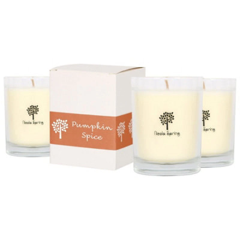 Image of Nicola Spring 160G Pumpkin Spice Soy Wax Candles - Pack Of 3 - Autumn Spiced Glass Jars - Long Burn Seasonal