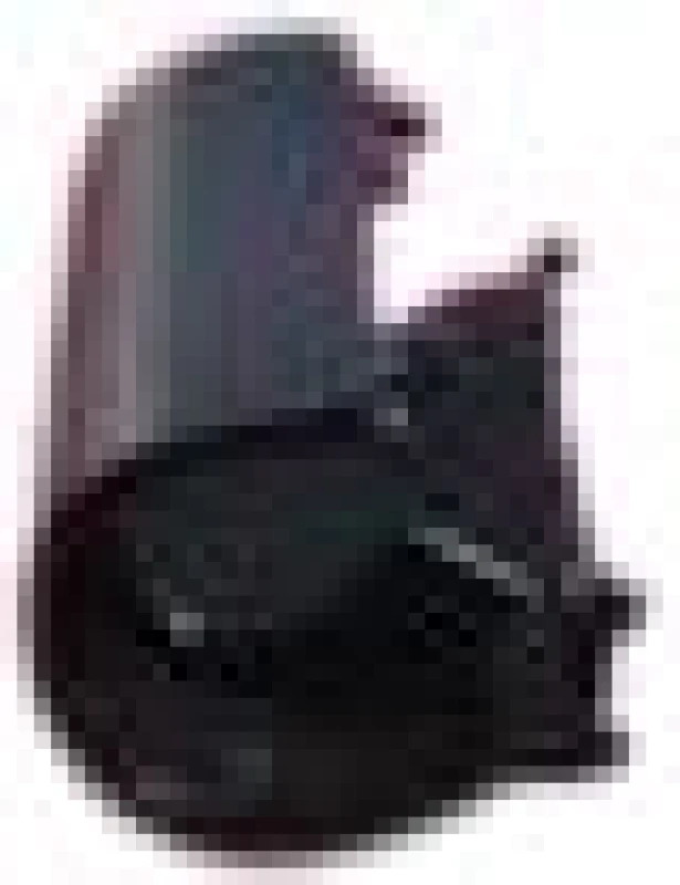 Image of DELL Righ hinge cover cp for