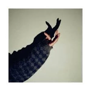 Image of Elephant House - Chollima Vinyl