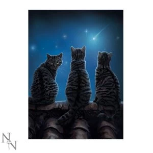 Image of Wish Upon a Star 3D Picture