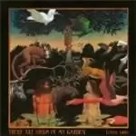 Image of David Gibb - There Are Birds In My Garden (Music CD)