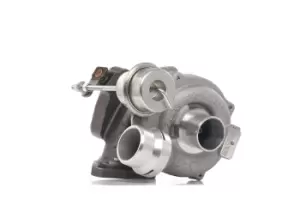 Image of RIDEX Turbocharger RENAULT,NISSAN,DACIA 2234C10144 8200889694,1441100QAR,144110420R Turbolader,Charger, charging system 144113321R,7701476880