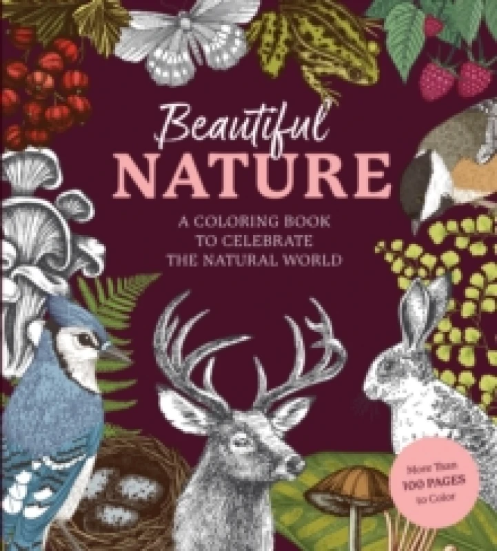 Image of Beautiful Nature Coloring Book : A Coloring Book to Celebrate the Natural World - More Than 100 Pages to Color Paperback / softback