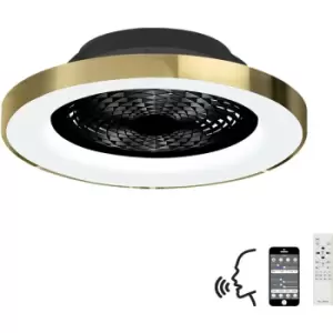 Image of Ceiling lamp fan Tibet Black Gold 1 bulb 20cm